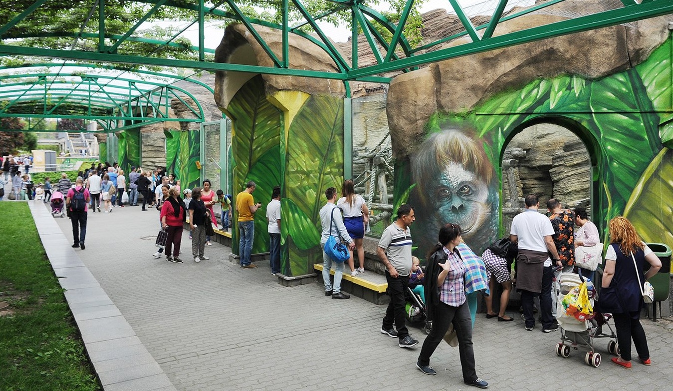 Детеныш орангутана приехал из Новосибирского зоопарка в Москву к бабушке