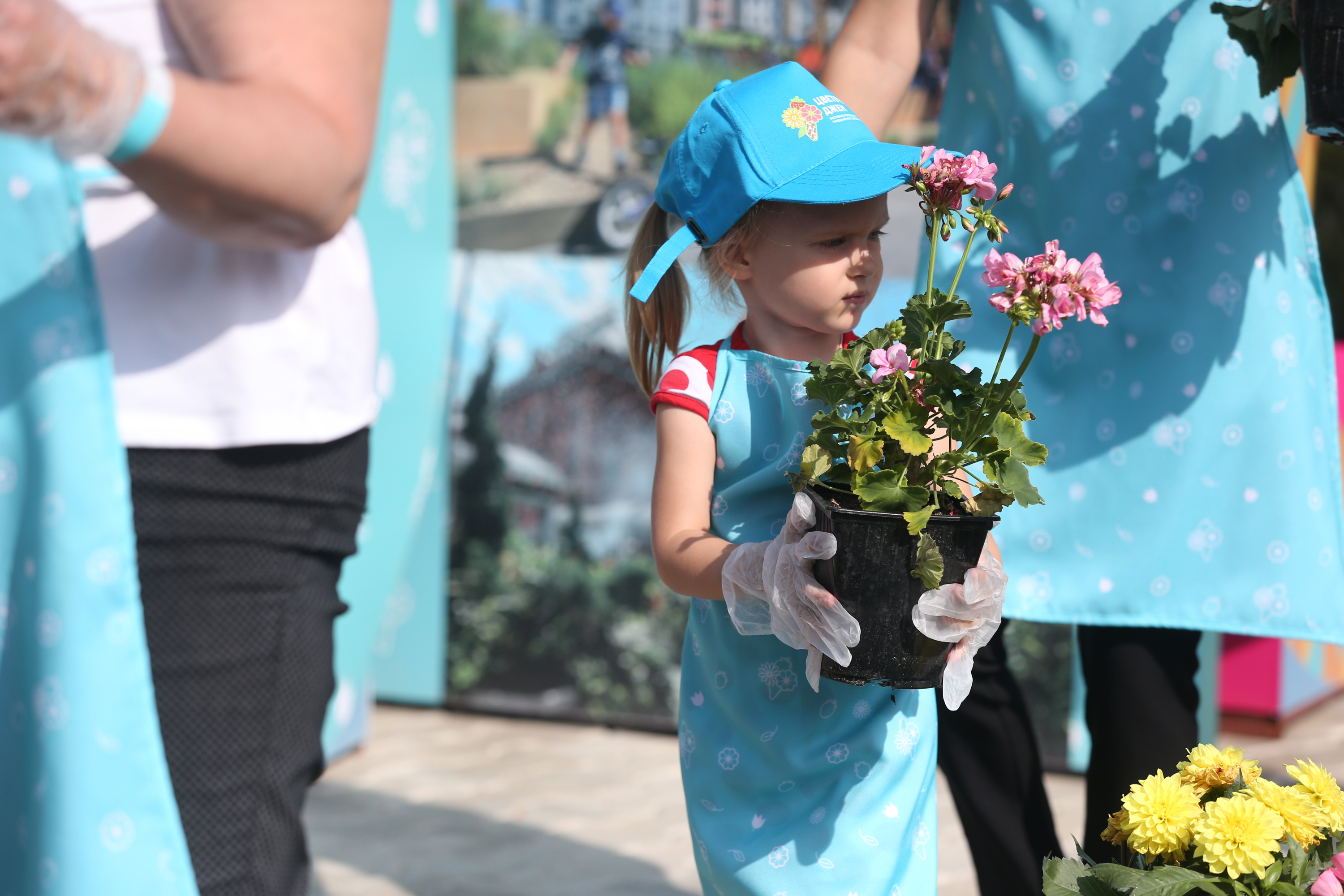 На площадках «Цветочного джема» можно было высадить цветы. Фото: Виктор Хабаров