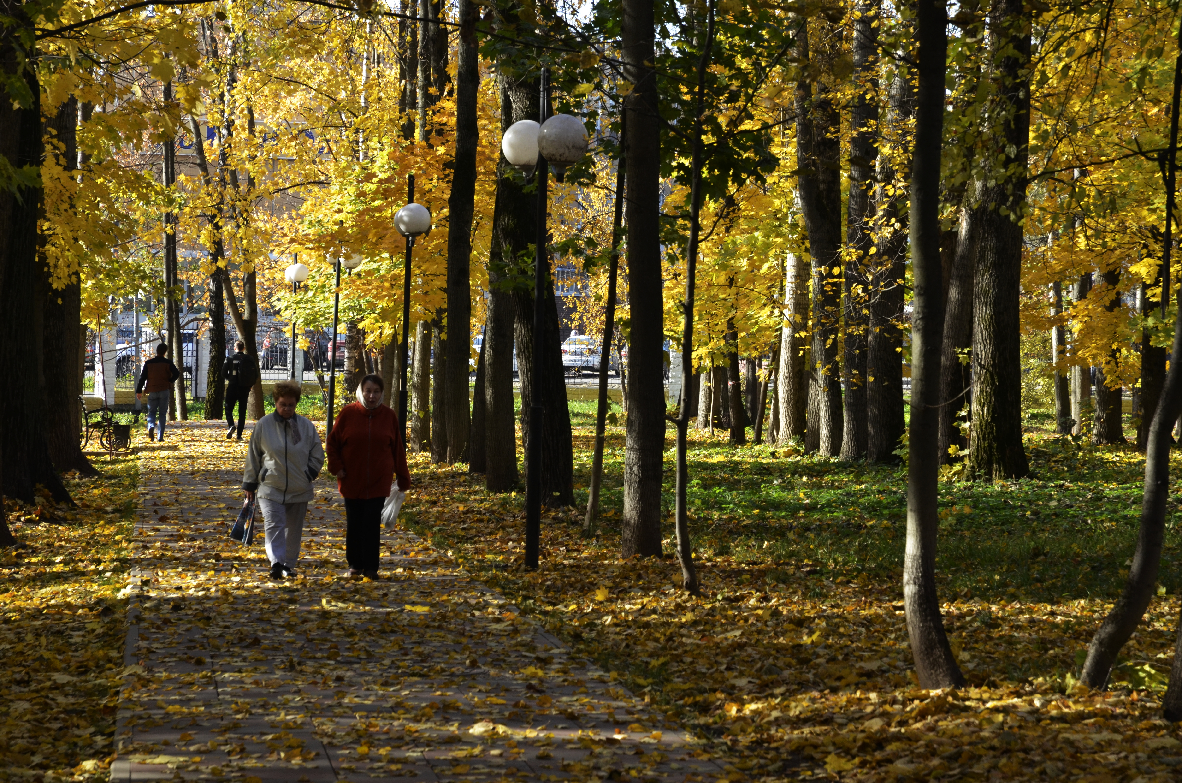 Около 150 квадратных метров тротуара обновят в Десеновском. Фото: архив, «Вечерняя Москва»