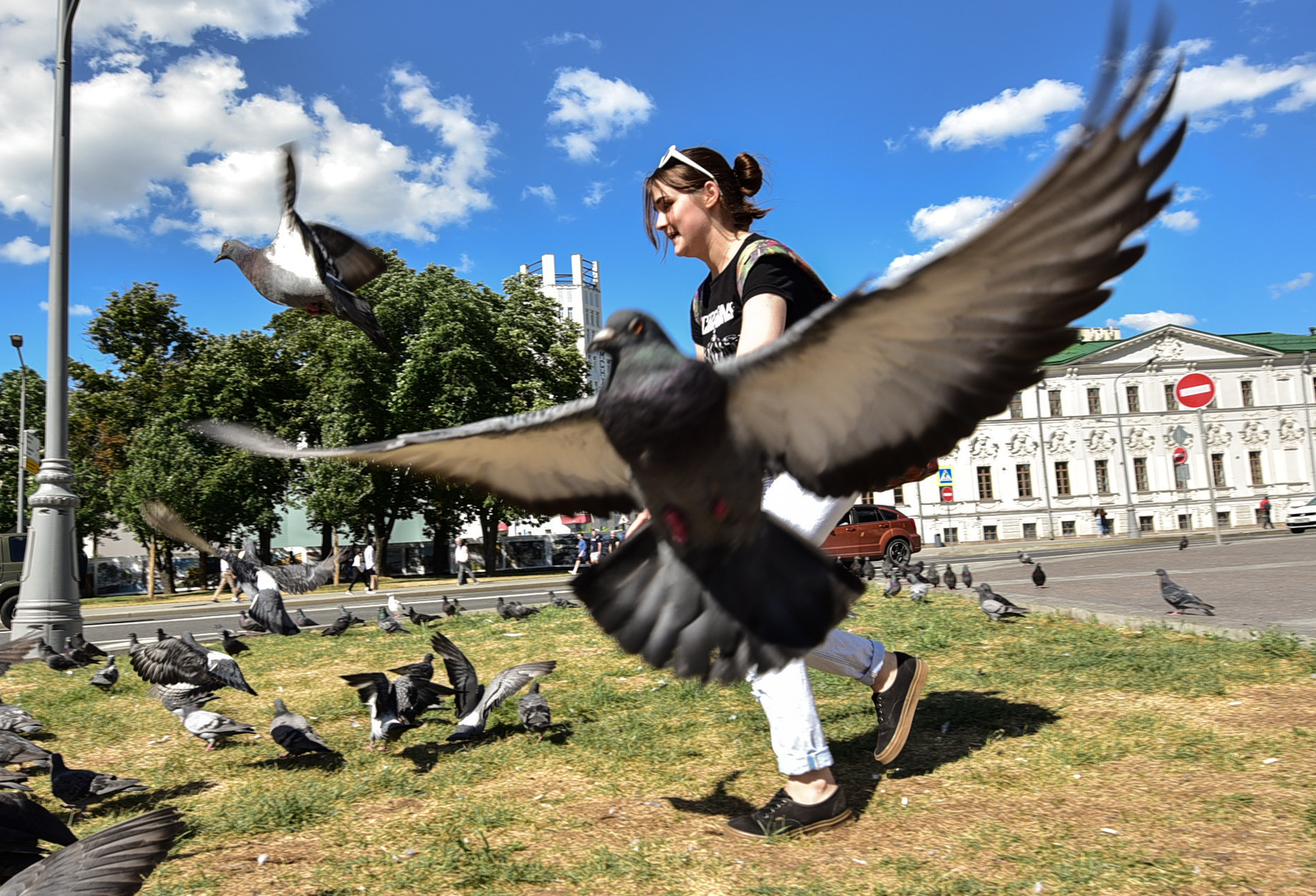 Птичники насчитали в Москве 38 видов пернатых