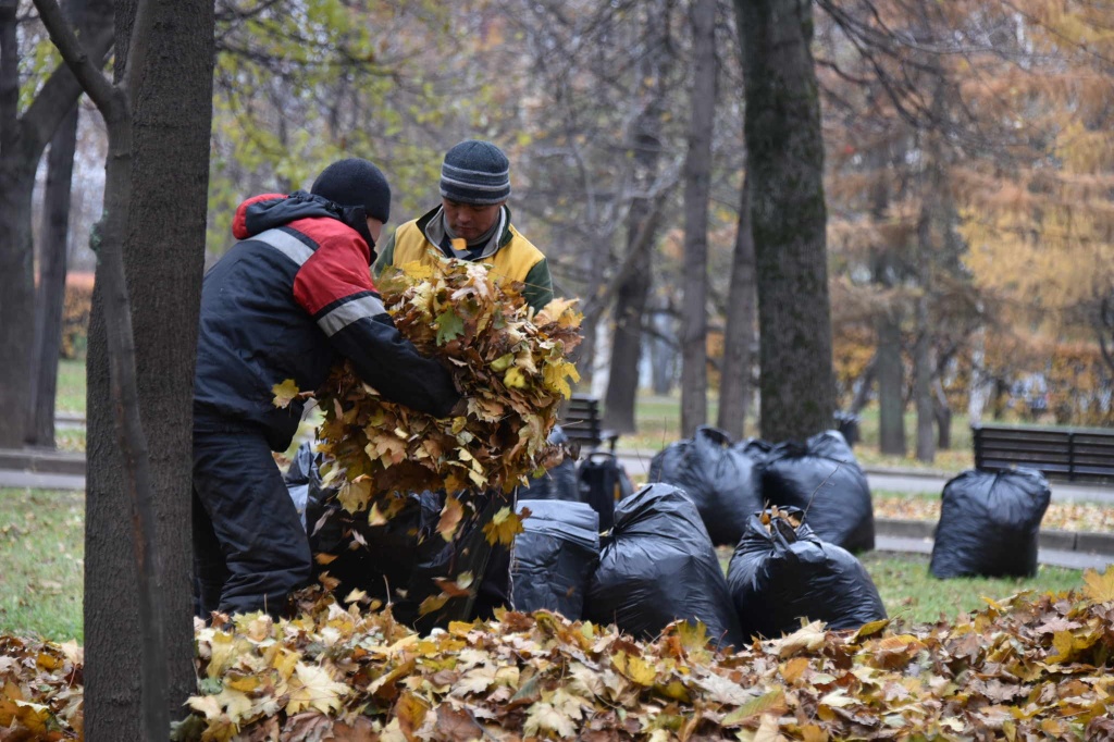 Сотрудники администрации Десеновского подвели итоги начала осеннего сезона