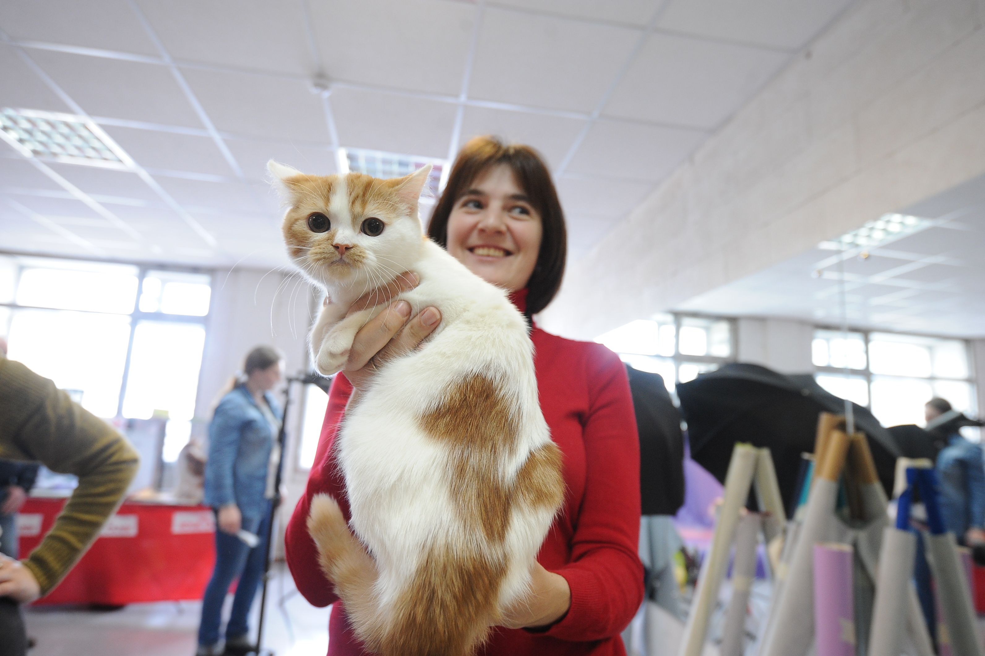 Лекции ветеринаров и бесплатные прививки питомцев пройдут в Москве