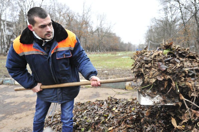 Жители столицы проголосовали за регулярную уборку листьев. Пелагия Замятина, «Вечерняя Москва»