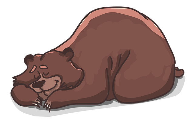 За время спячки медведи теряют до трети своего веса. Фото: pixabay.com