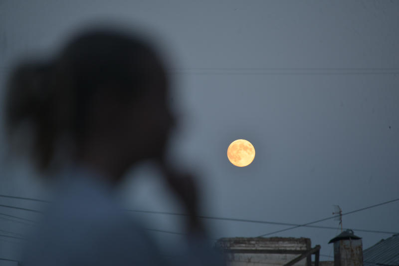 Луна затмит декабрьский звездопад. Фото: Наталья Феоктистова