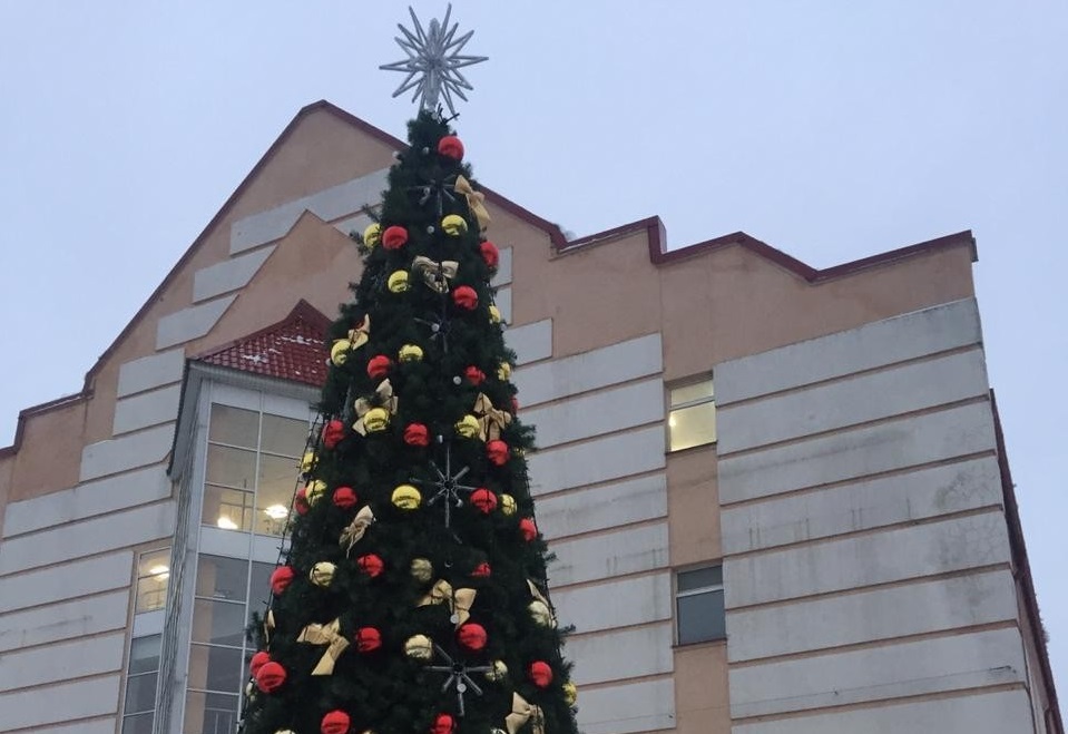 Новогодние елки установили в Рязановском. Фото: администрация поселения Рязановское
