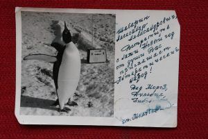 Новогоднюю открытку для членов экспедиции на станции «Молодежная» юбиляр хранит до сих пор. Фото из личного архива