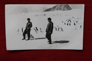 Участники экспедиции не один месяц провели среди снегов и королевских пингвинов. Фото: из личного архива