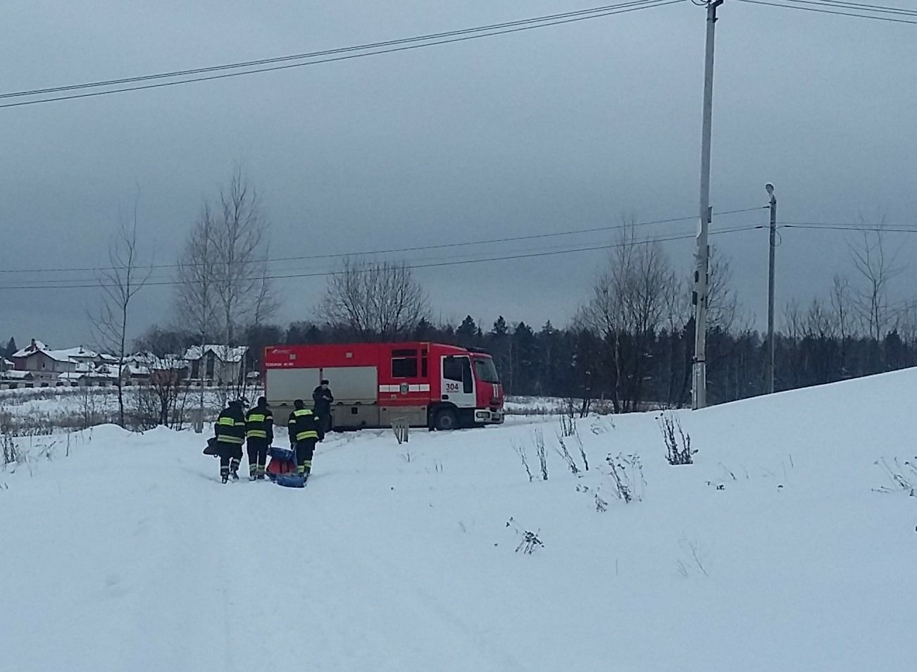 Московские пожарные в ТиНАО спасли двух собак из ледяного плена