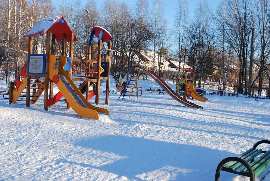 Голосование о детской или спортивной площадке стартовало в поселении Московский