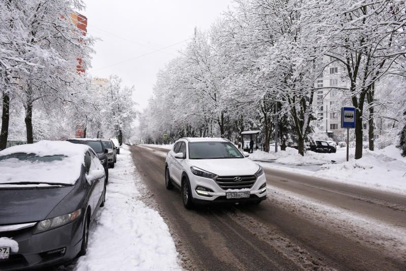 АМПП призвал водителей быть внимательными. Фото: Александр Кожохин