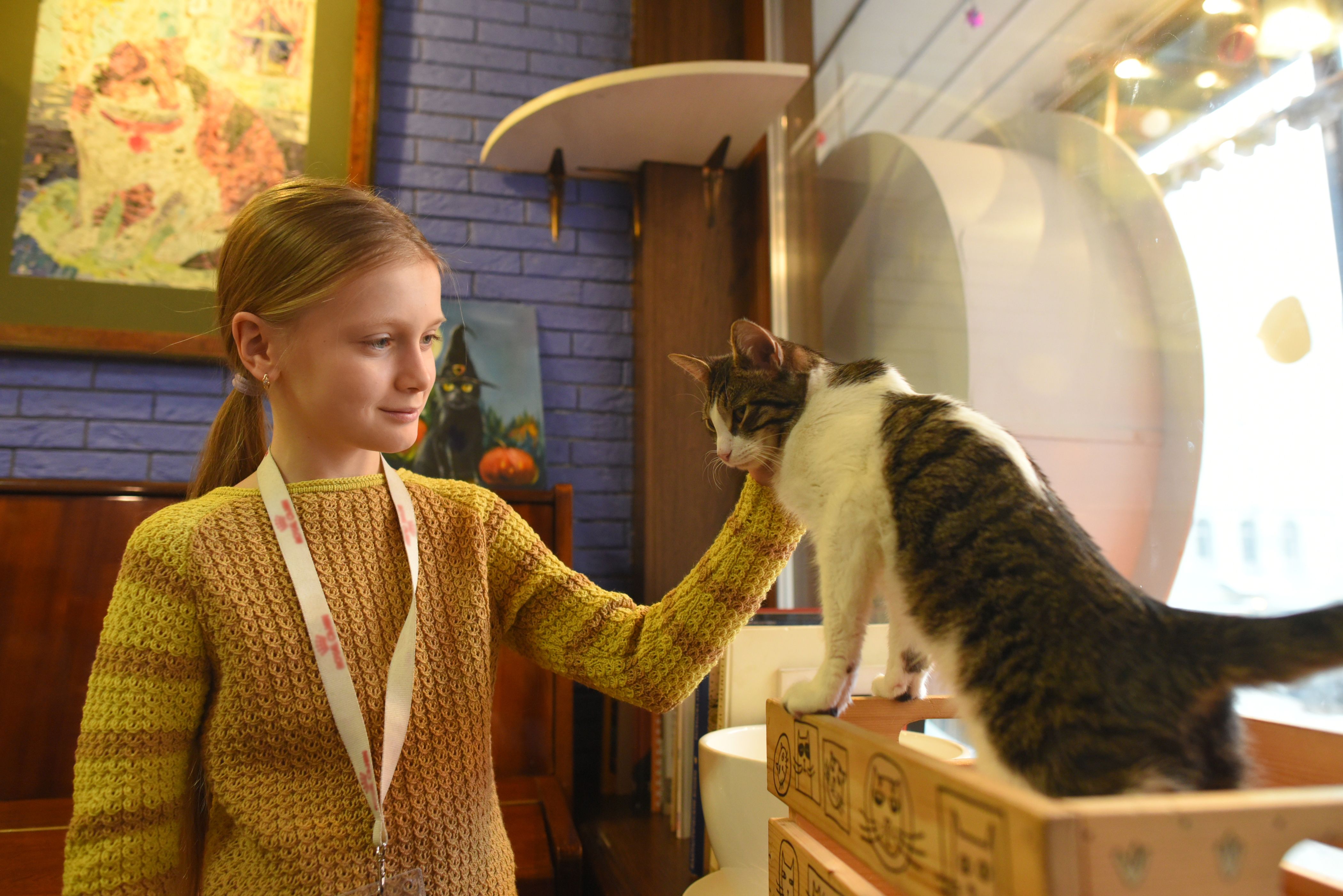 Юные жители Вороновского научатся ухаживать за кошками. Фото: Александр Кожохин, «Вечерняя Москва»
