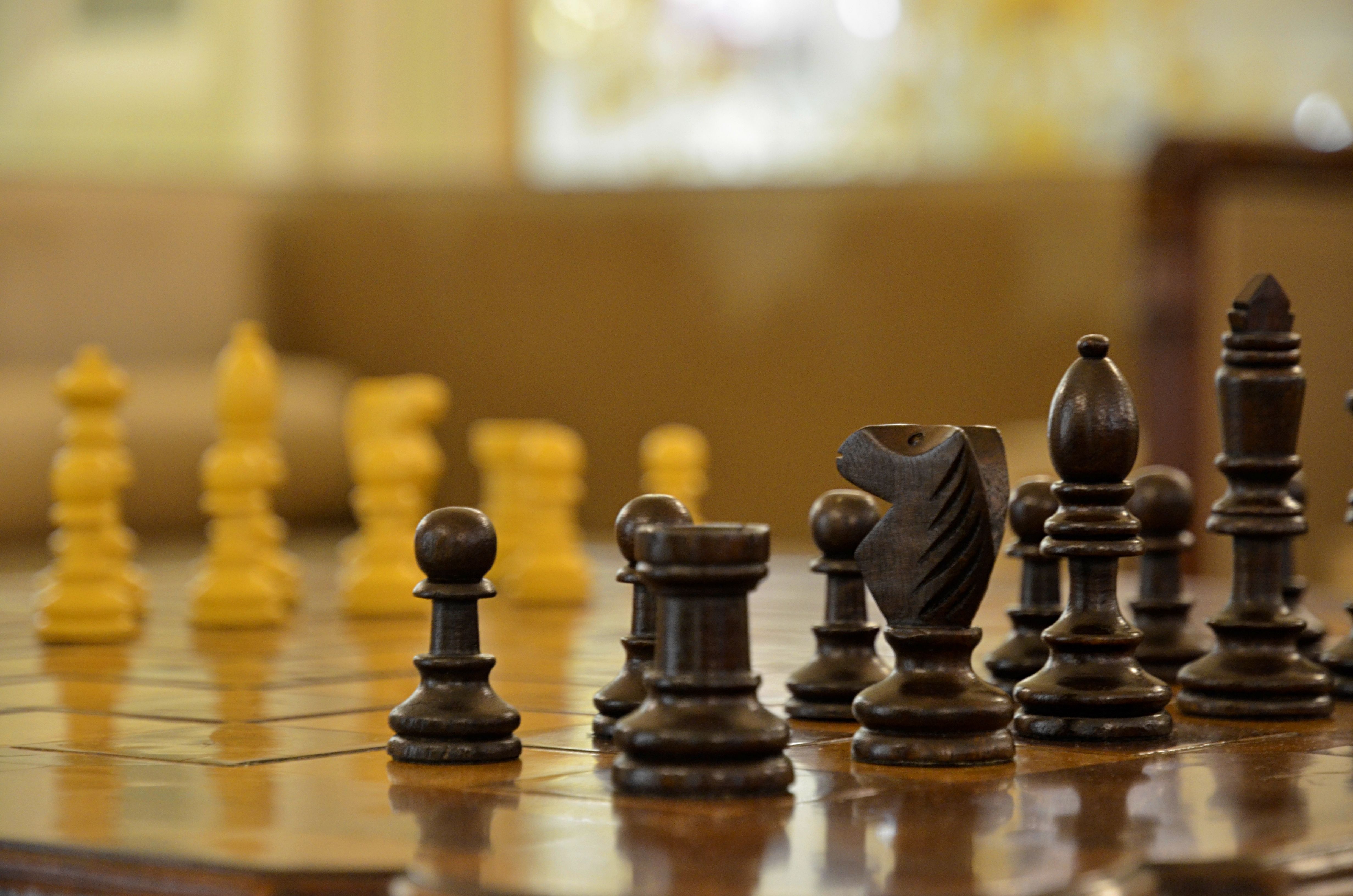 Шахматный турнир пройдет в Сосенском. Фото: Анна Быкова