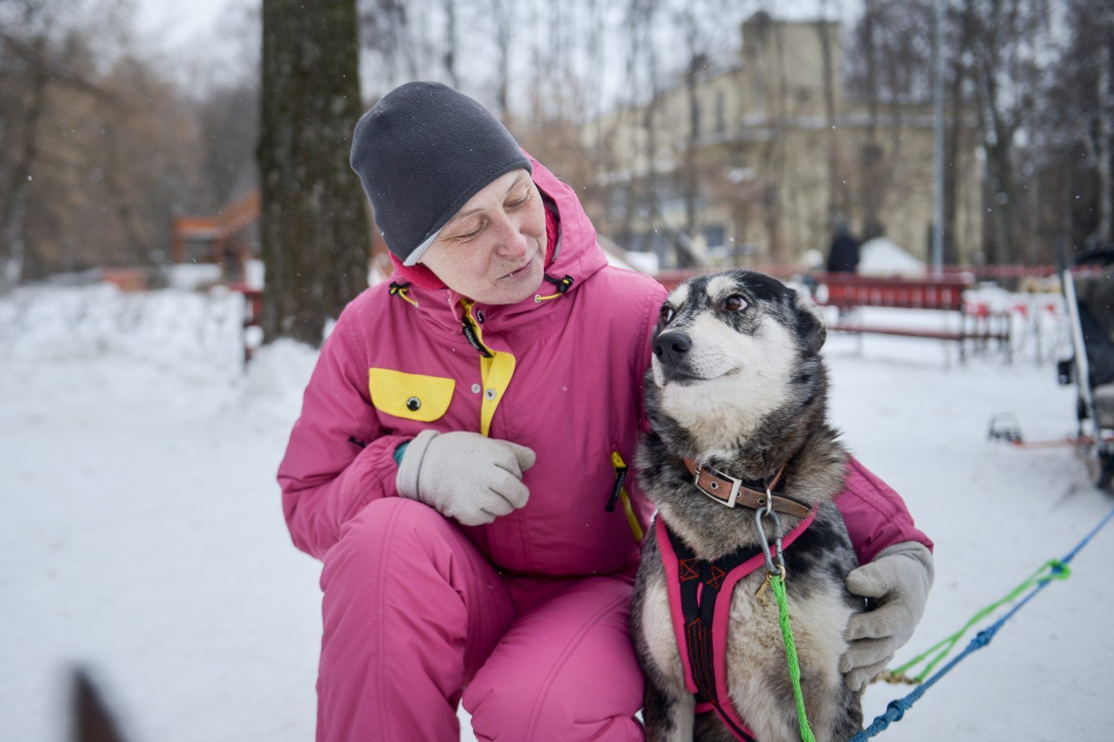 Жители Новой Москвы смогут узнать о правильном уходе за домашними животными. Фото: «Вечерняя Москва»