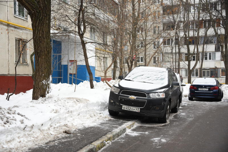 Московских водителей призвали не парковаться под деревьями