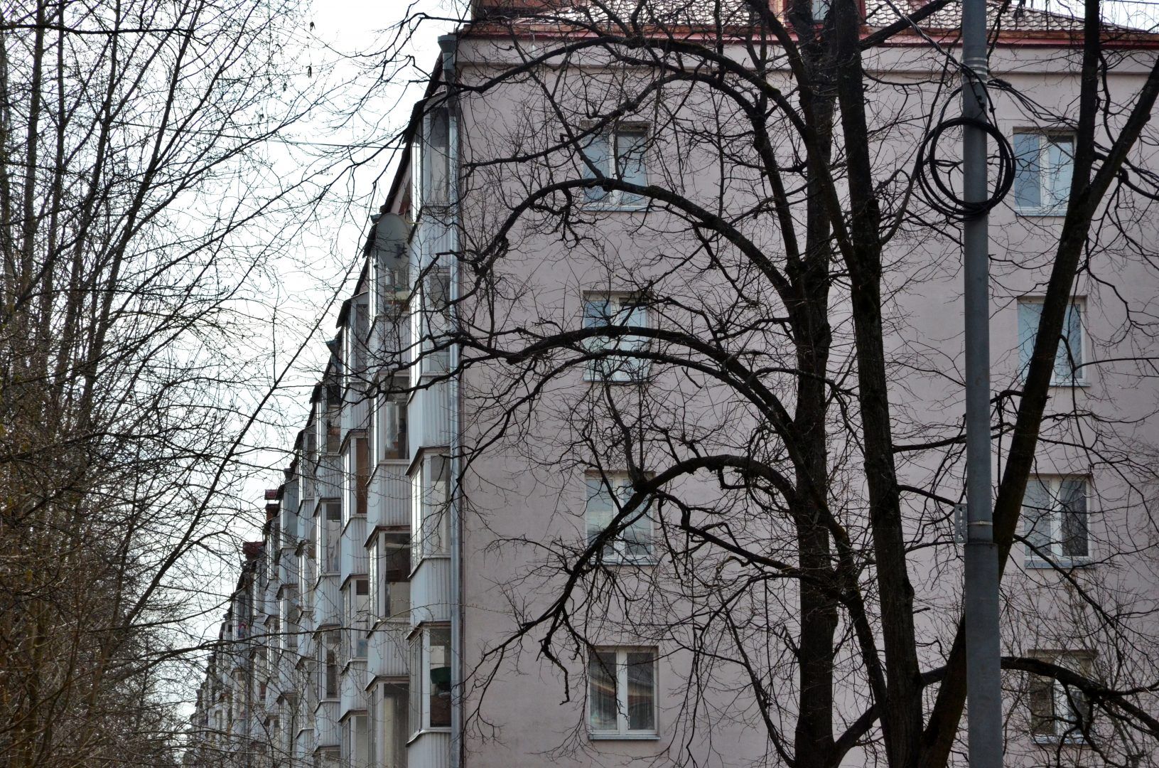 Текущий ремонт подъездов трех жилых домов планируют завершить в Десеновском к августу. Фото: Анна Быкова