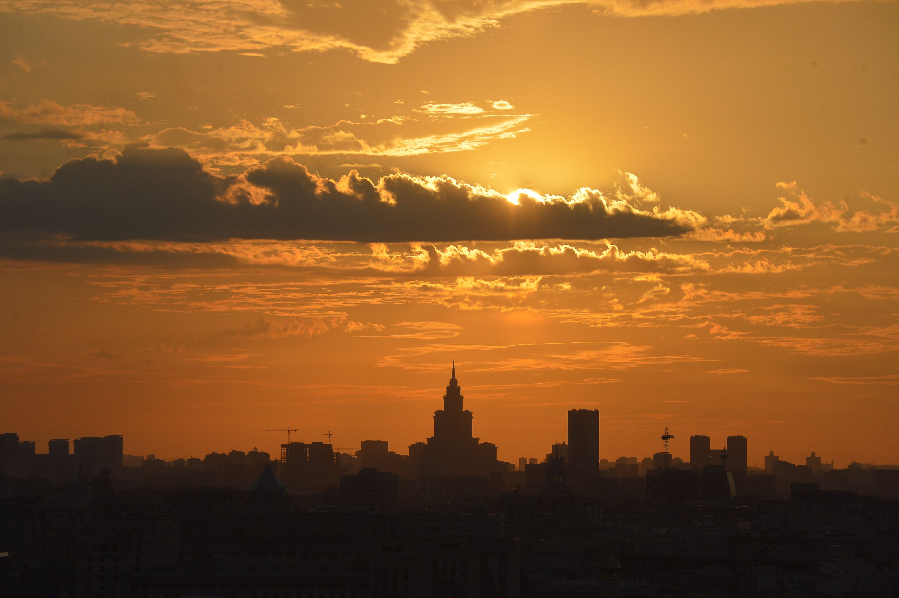 Москву накроет летним теплом с 24 апреля