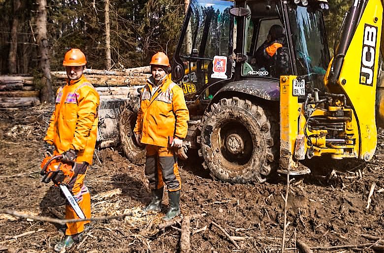 Новофедоровский лес очистят от сухостоя