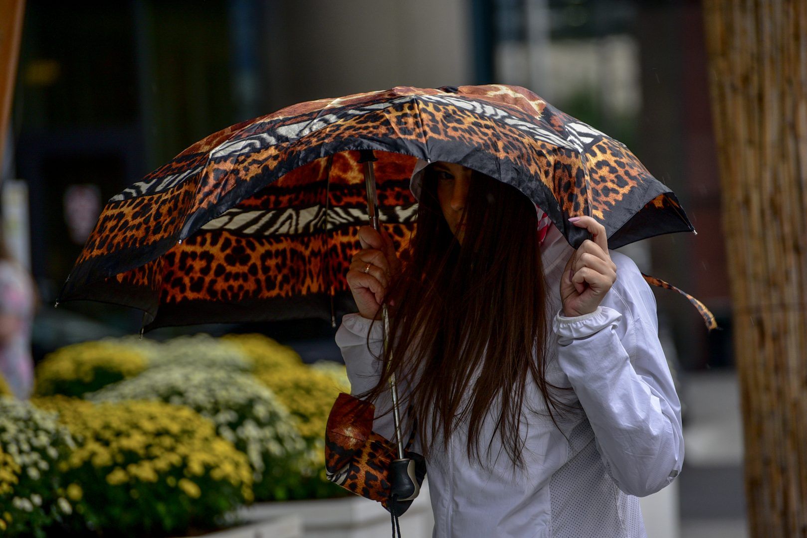 Ожидаемые дожди в столице пополнят копилку осадков. Фото: Пелагия Замятина