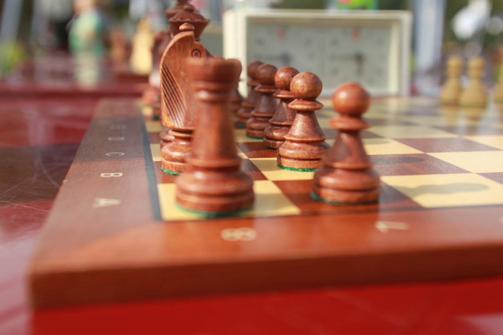 Шахматный турнир организуют в Воскресенском. Фото: Наталия Нечаева, «Вечерняя Москва»