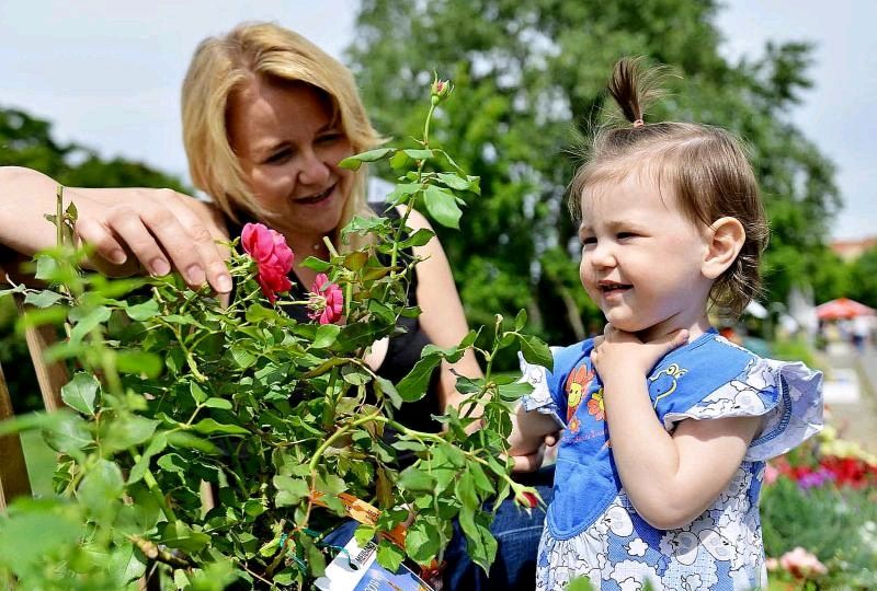 Деревья и кустарники высадят в Москве по инициативе жителей