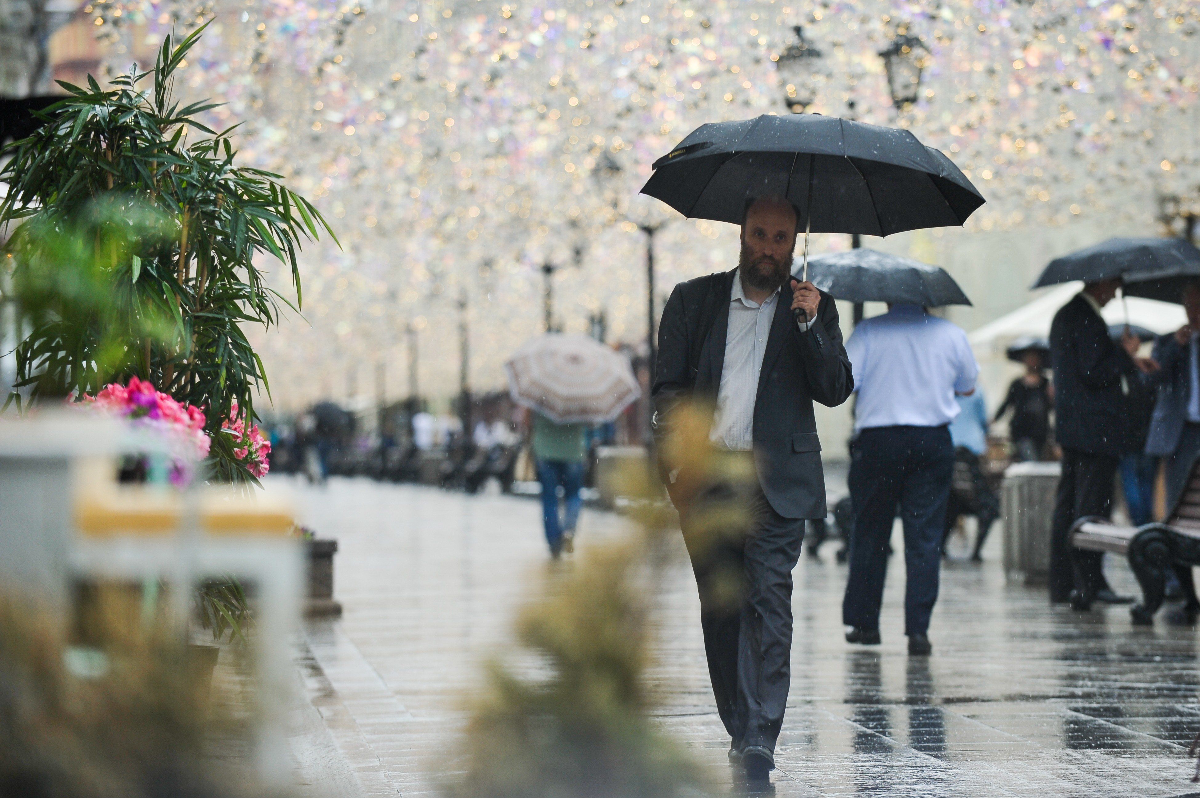 Москвичей ожидает пасмурная погода в выходные дни. Фото: архив, «Вечерняя Москва»