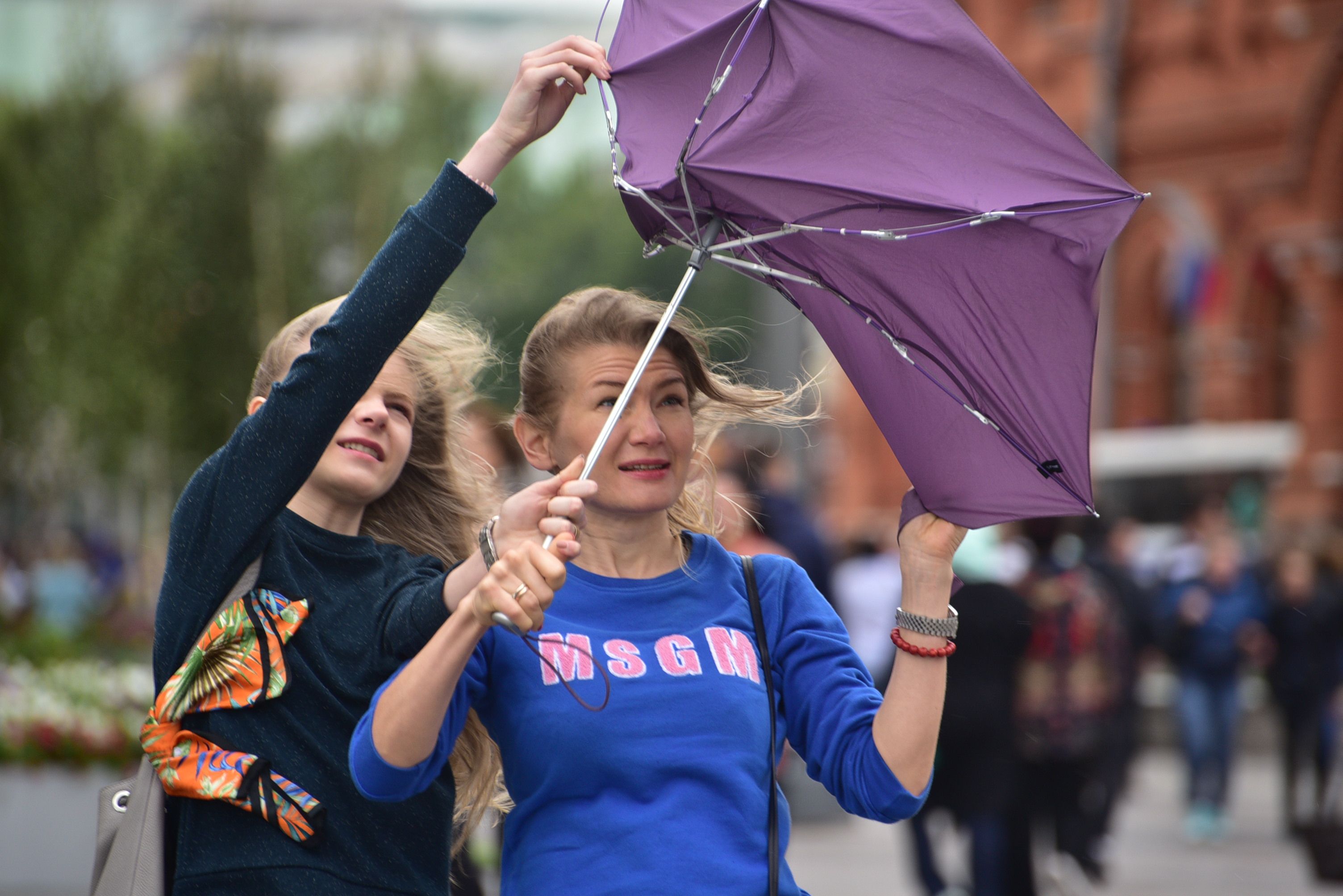 Экстренное предупреждение объявили в Москве из-за шквалистого ветра