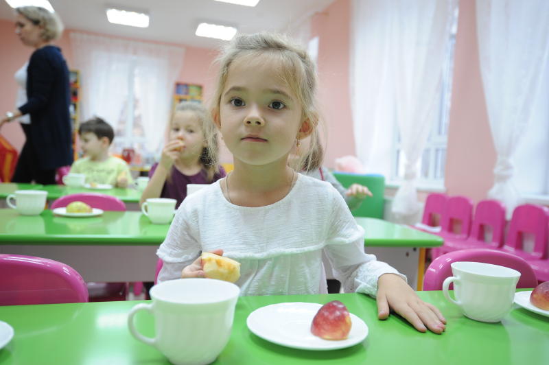 Детский сад построят в частном секторе. Фото: Пелагия Замятина, «Вечерняя Москва»