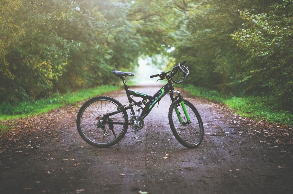  К велозабегу смогут присоединиться все жители. Фото: pixabay.com