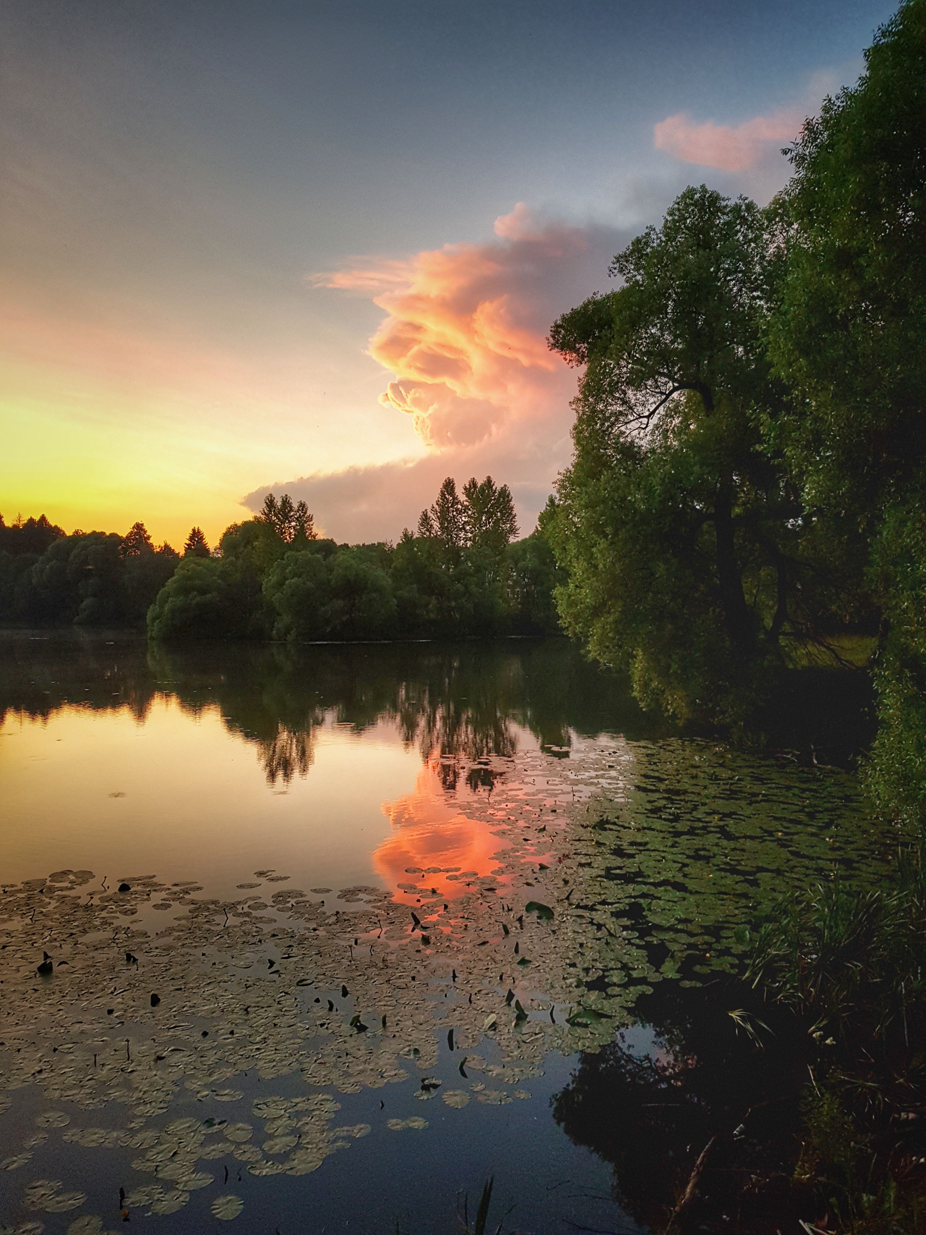 Стоп-кадр: Краски лета на вечернем пруду