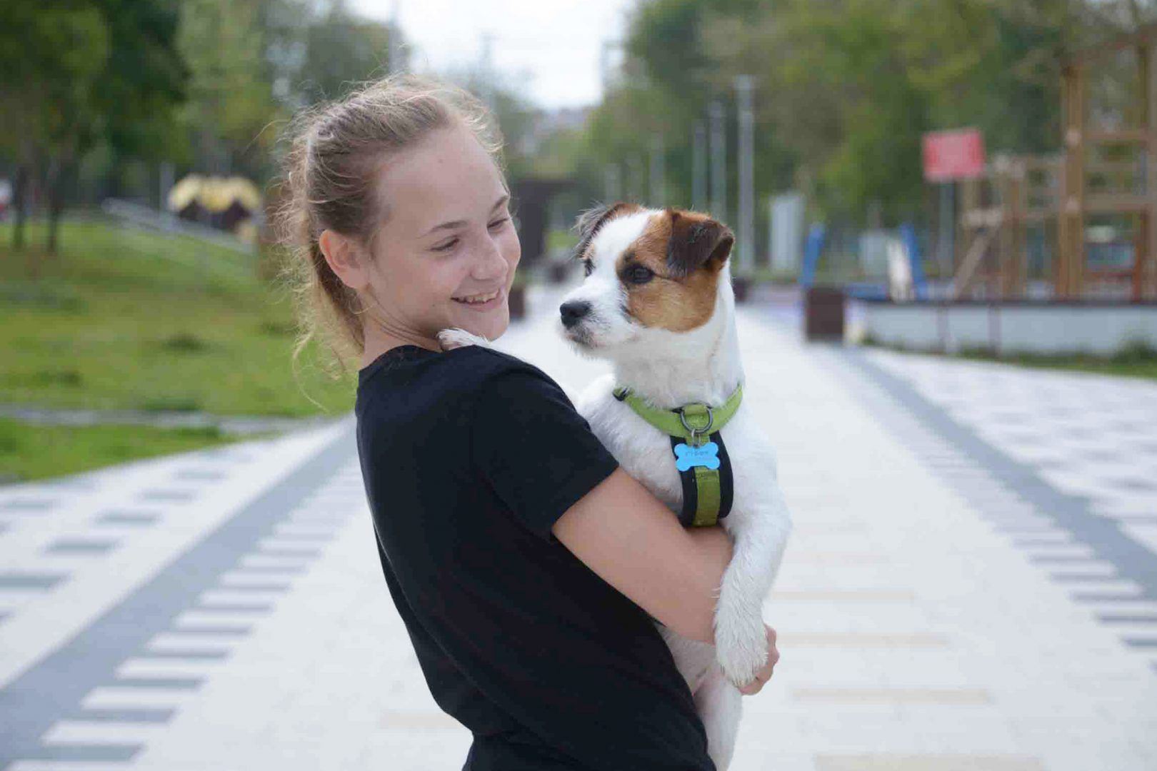 Жители поселения Кокошкино смогут выгуливать собак на новой площадке. Фото: Наталья Феоктистова, «Вечерняя Москва»