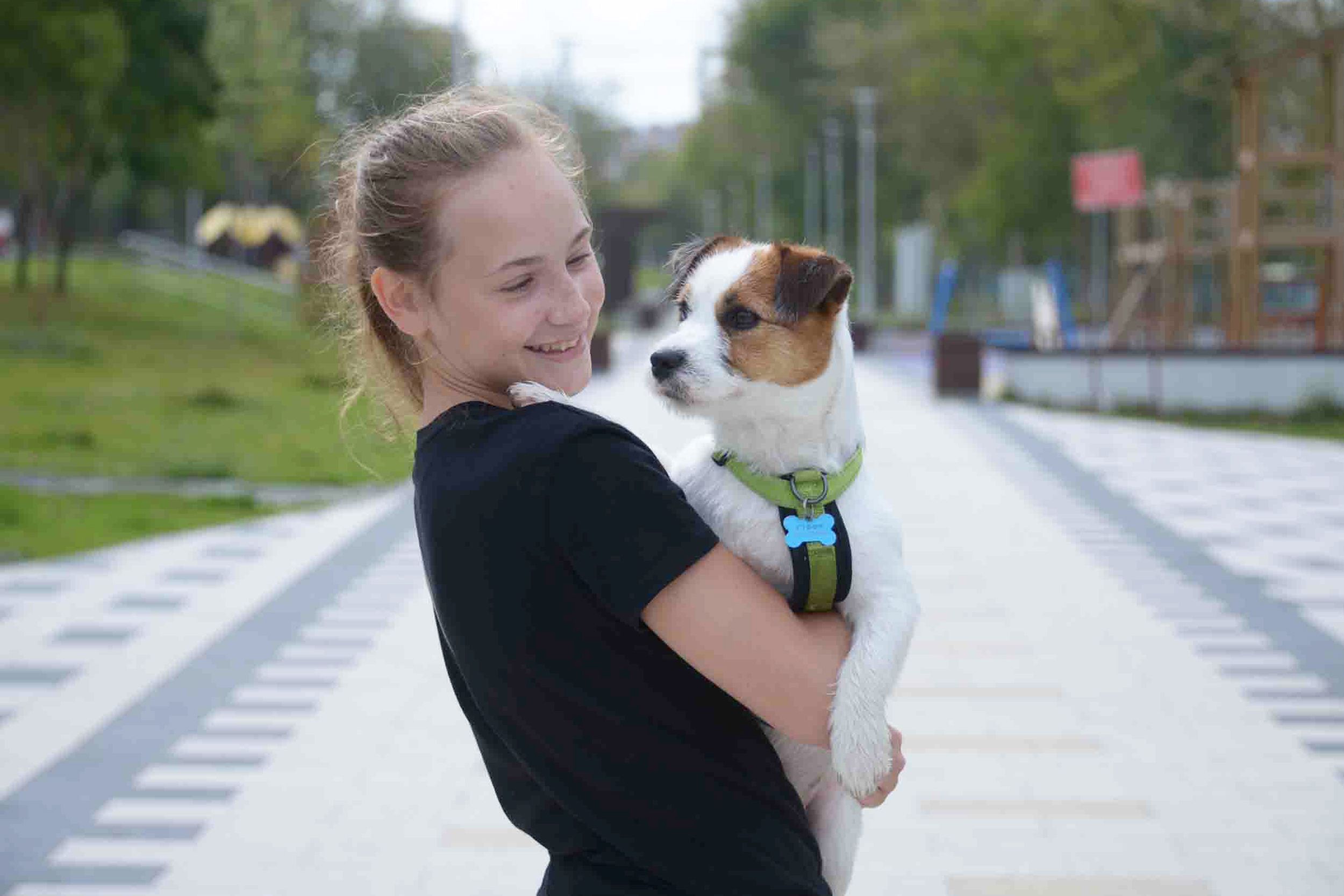 Жители поселения Кокошкино смогут выгулять собак на новой площадке