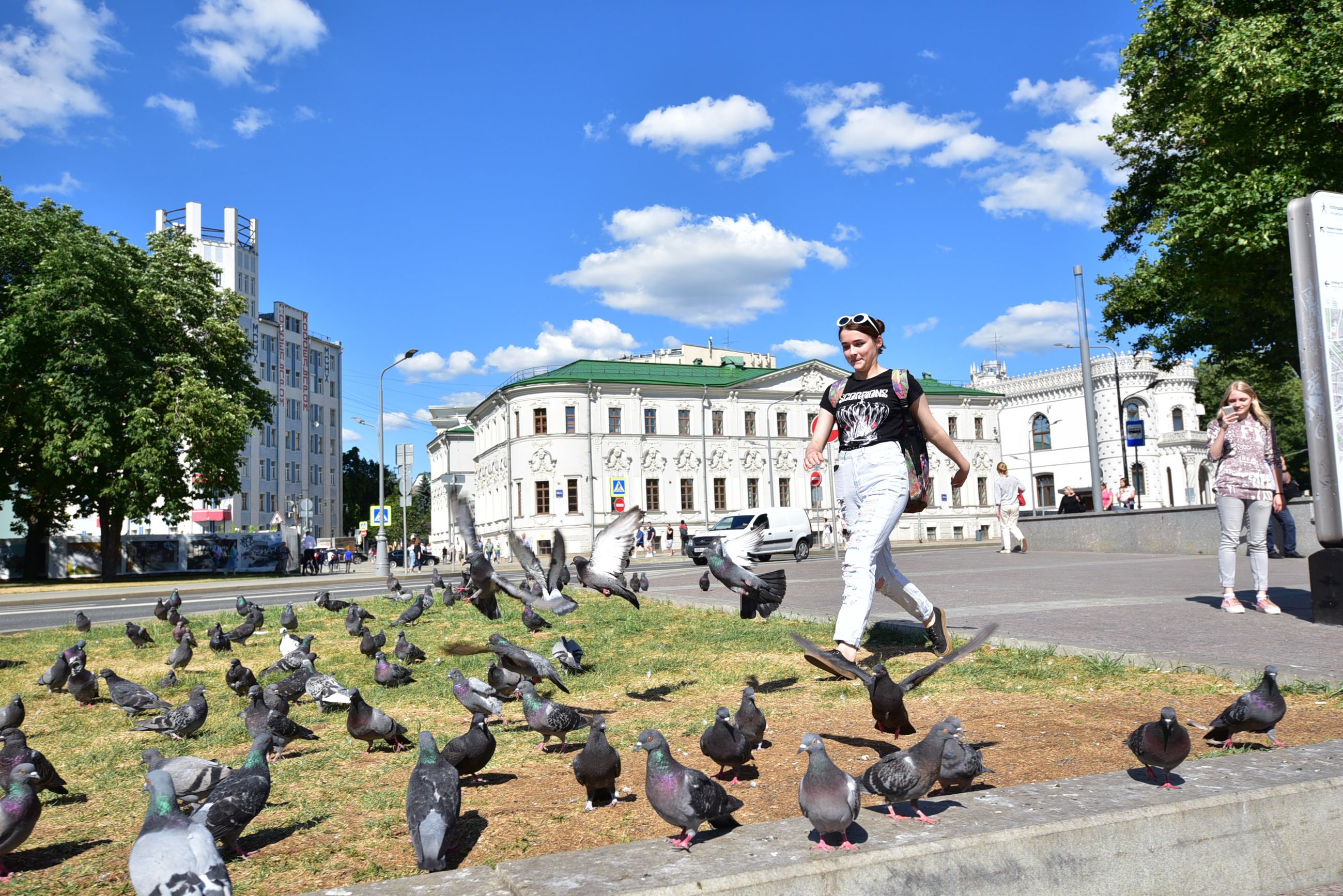 Голуби хорошо освоили городские пространства. Фото: Пелагия Замятина