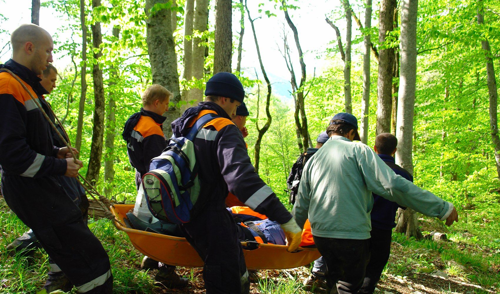 Московские спасатели проводят поиски заблудившихся в лесу людей