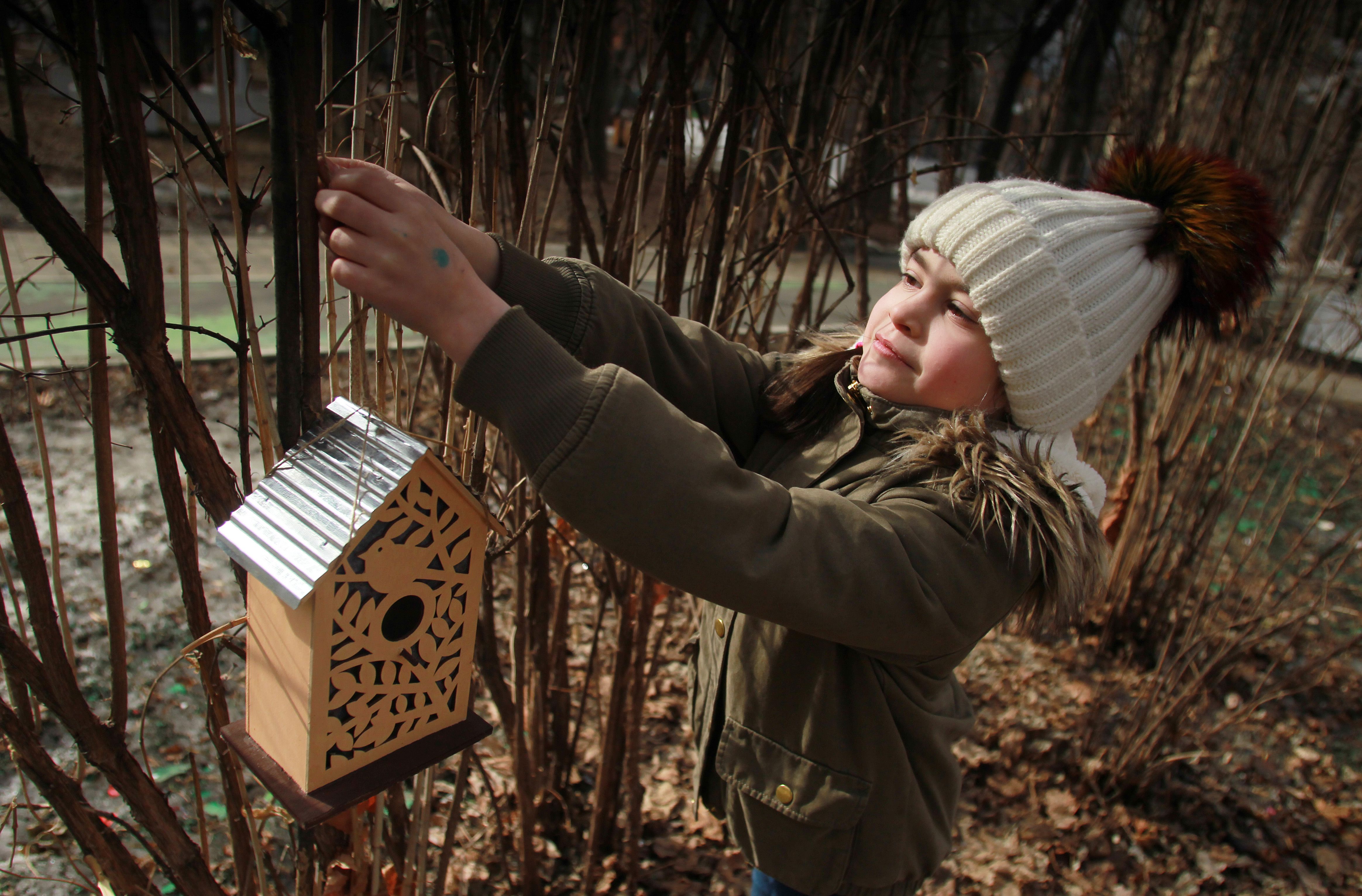 Москвичам напомнили о правилах подкормки птиц зимой. Фото: архив, «Вечерняя Москва»
