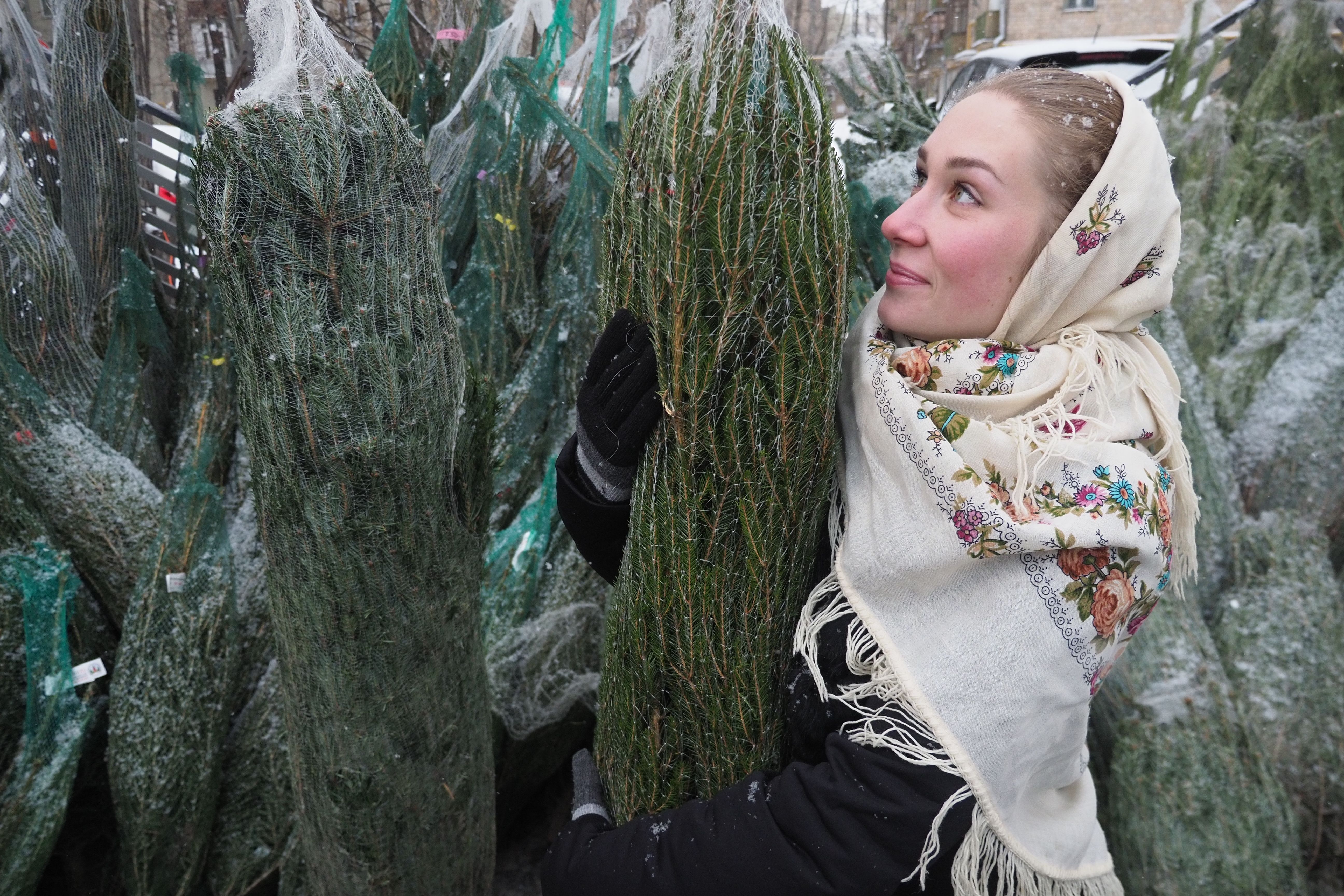 Москвичам посоветовали покупать елки на городских базарах