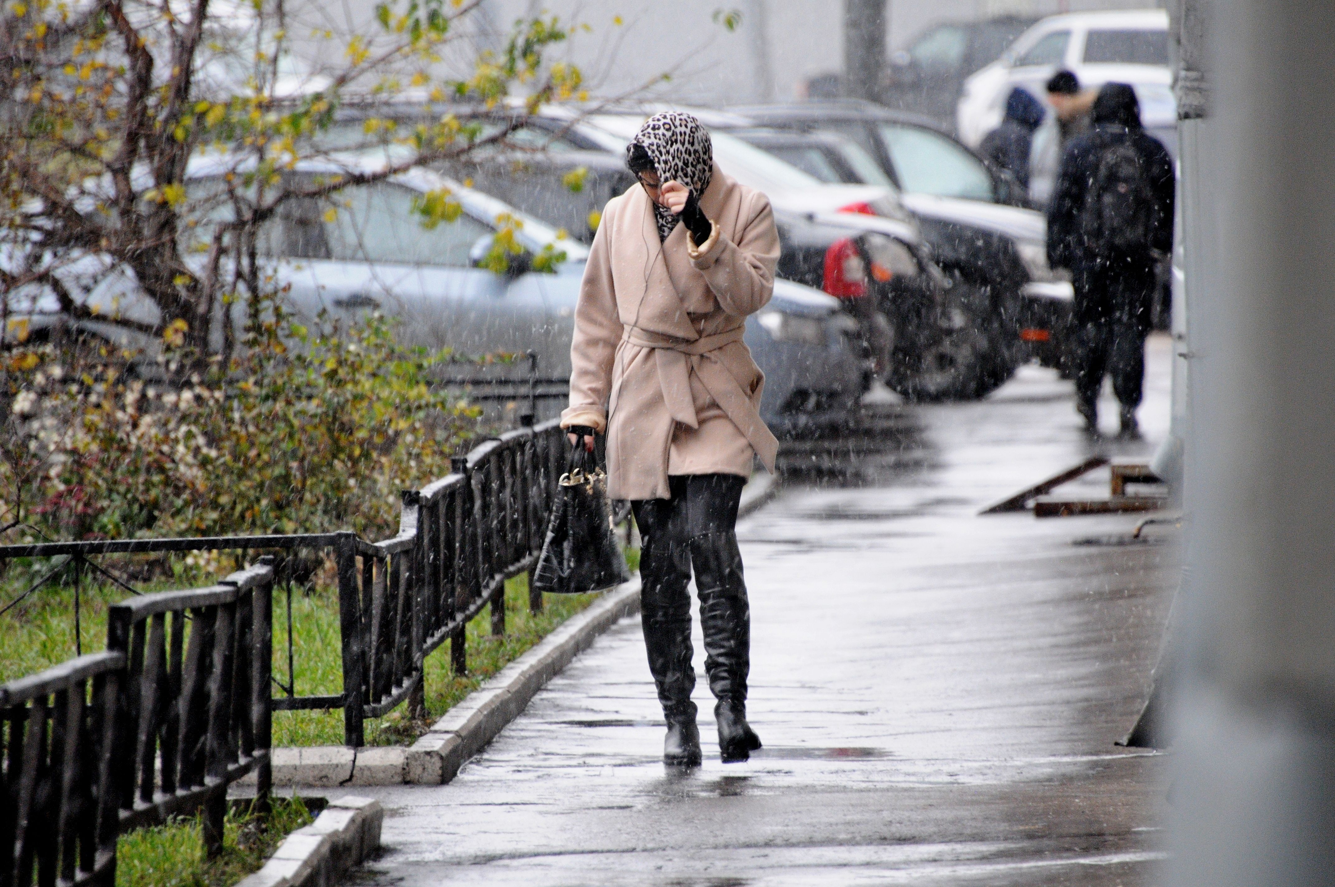 Москвичам дали прогноз погоды на первую неделю декабря