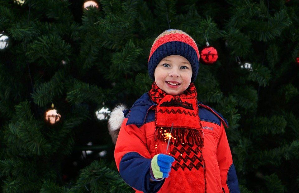Новогоднюю программу «Снежная сказка» проведут в парке села Кленово. Фото: Pixabay