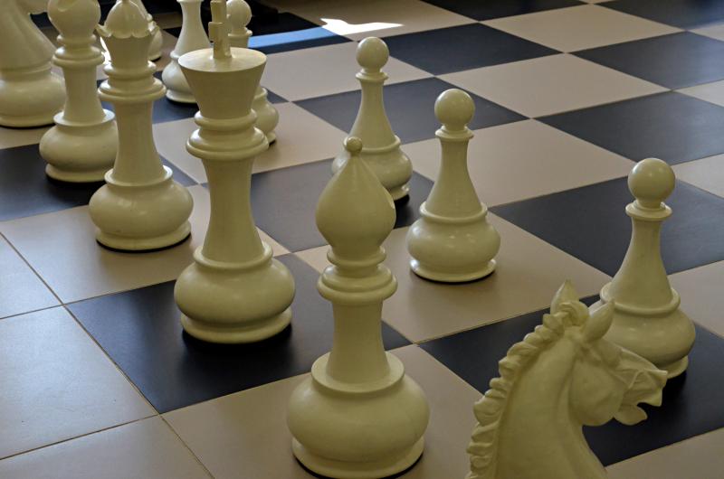 В рамках спортивного фестиваля состоится блиц-турнир по шахматам. Фото: Анна Быкова