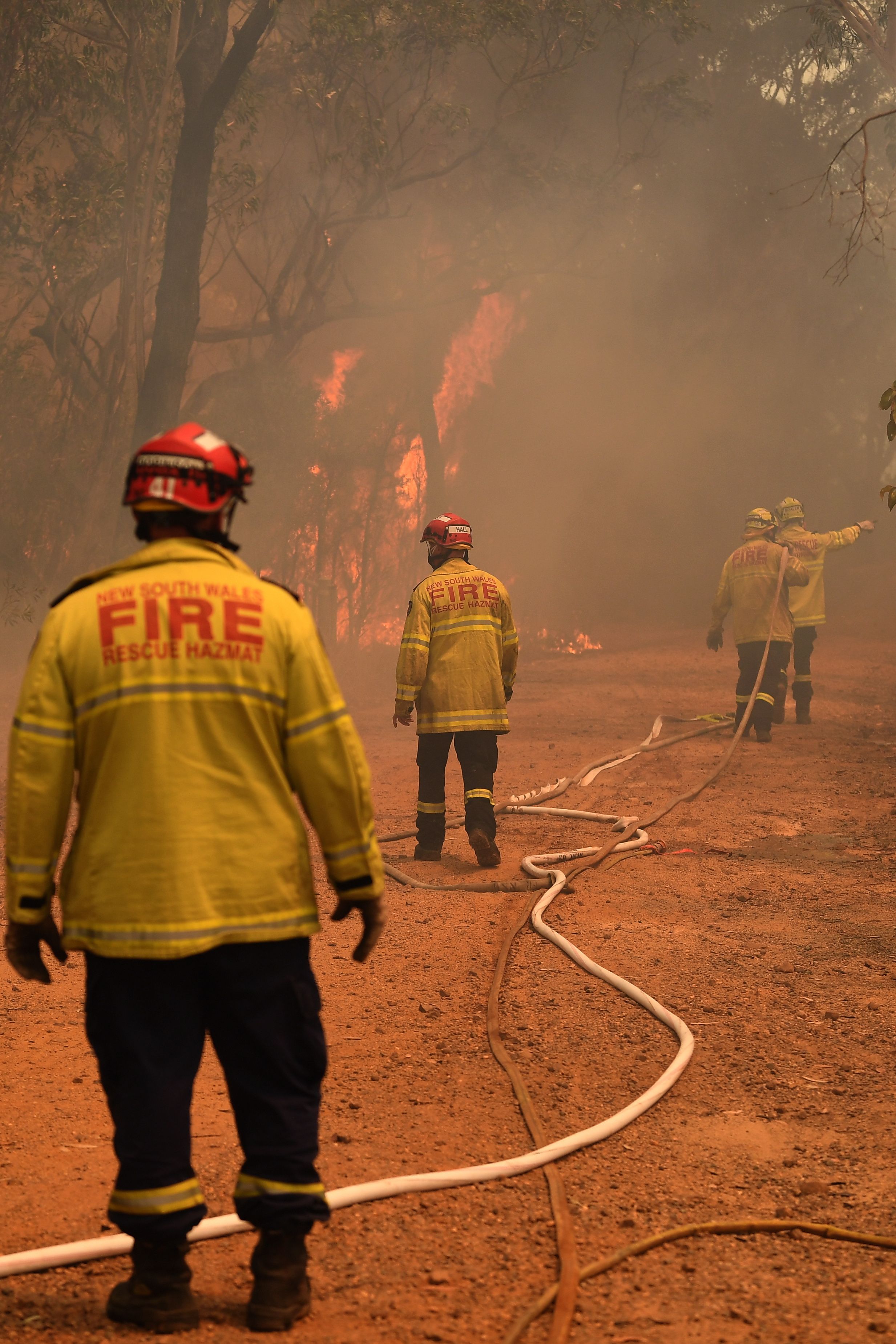17 декабря 2019 года. Австралия. Природные пожары в штате Новый Южный Уэльс. Фото: ЕРА, ТАСС