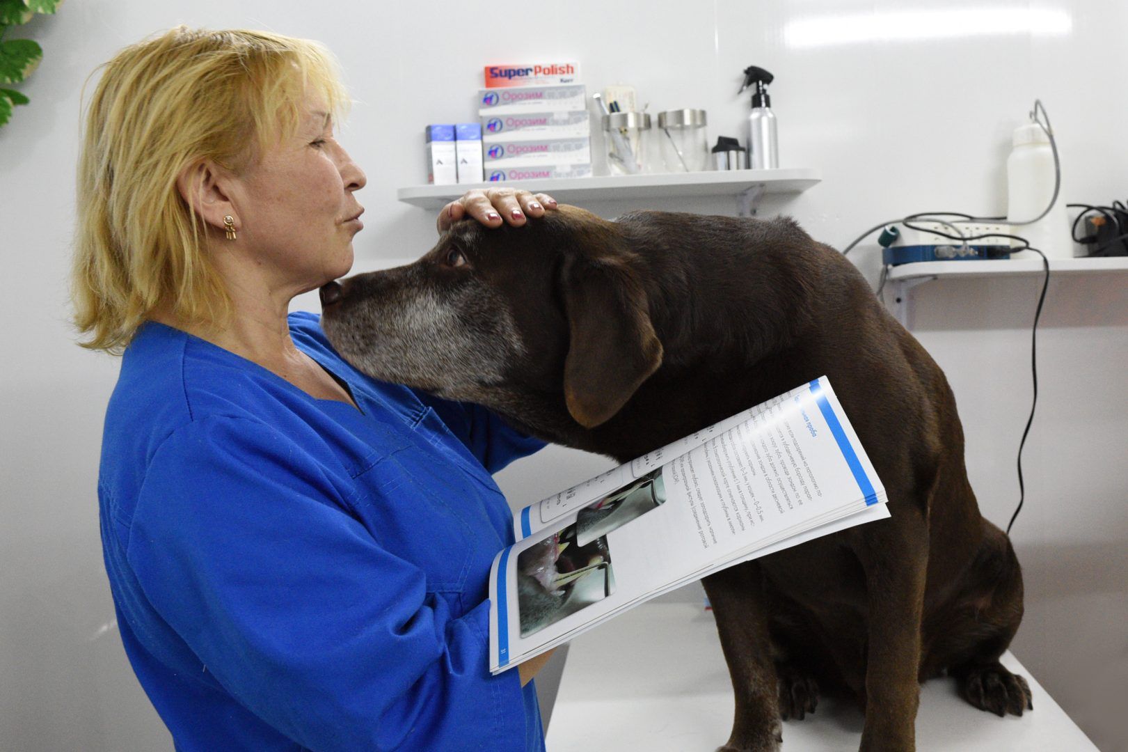 Открытие новых прививочных пунктов позволит упростить процесс вакцинации животных. Фото: Пелагия Замятина