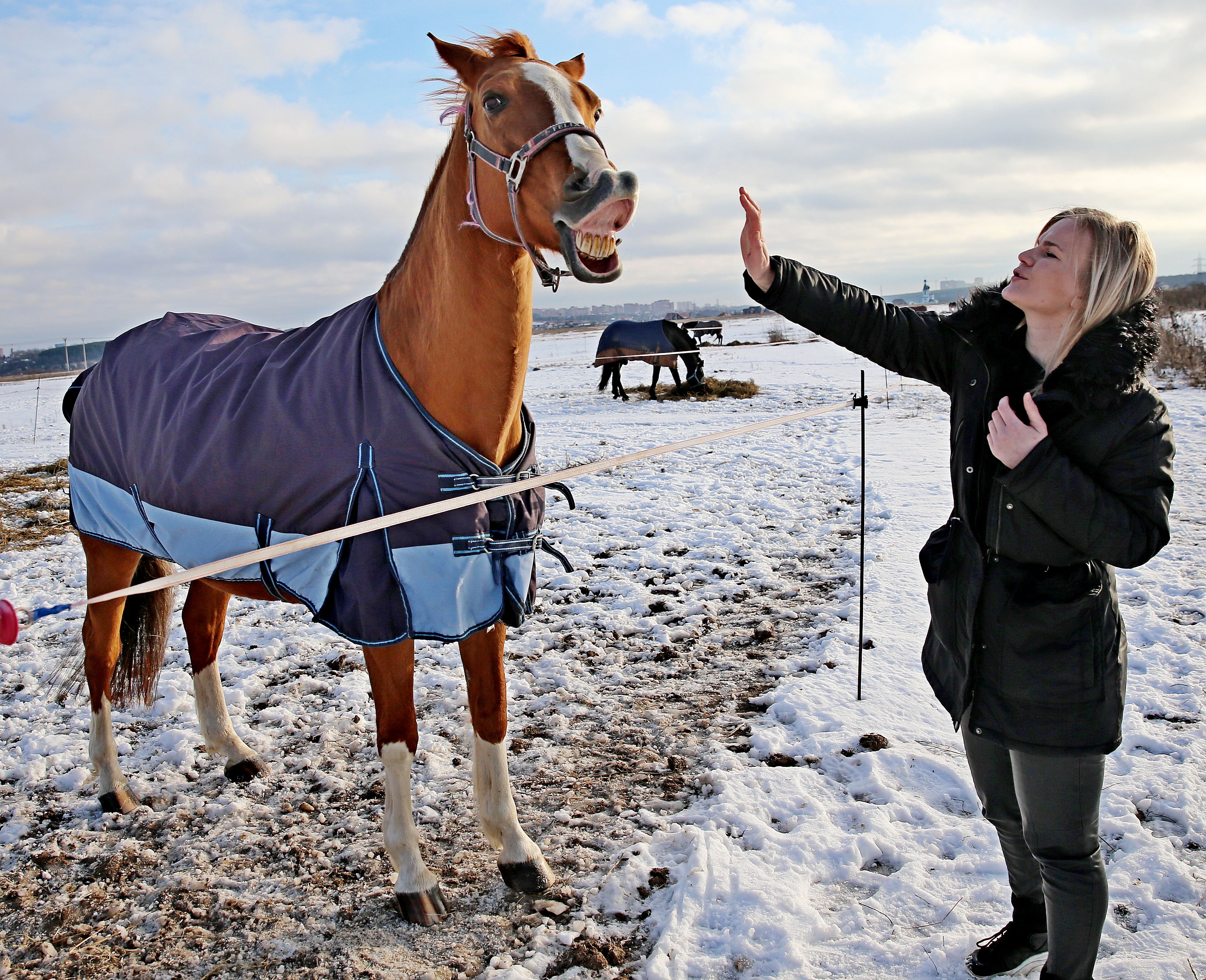 Анастасия Белик и конь Феликс. Фото: Владимир Смоляков