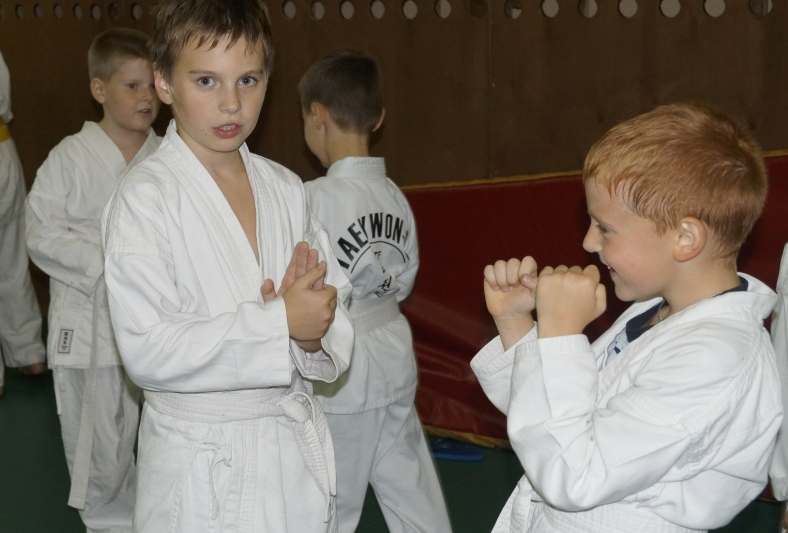Спортсмены из Щербинки выступят на межрегиональных соревнованиях по карате-до