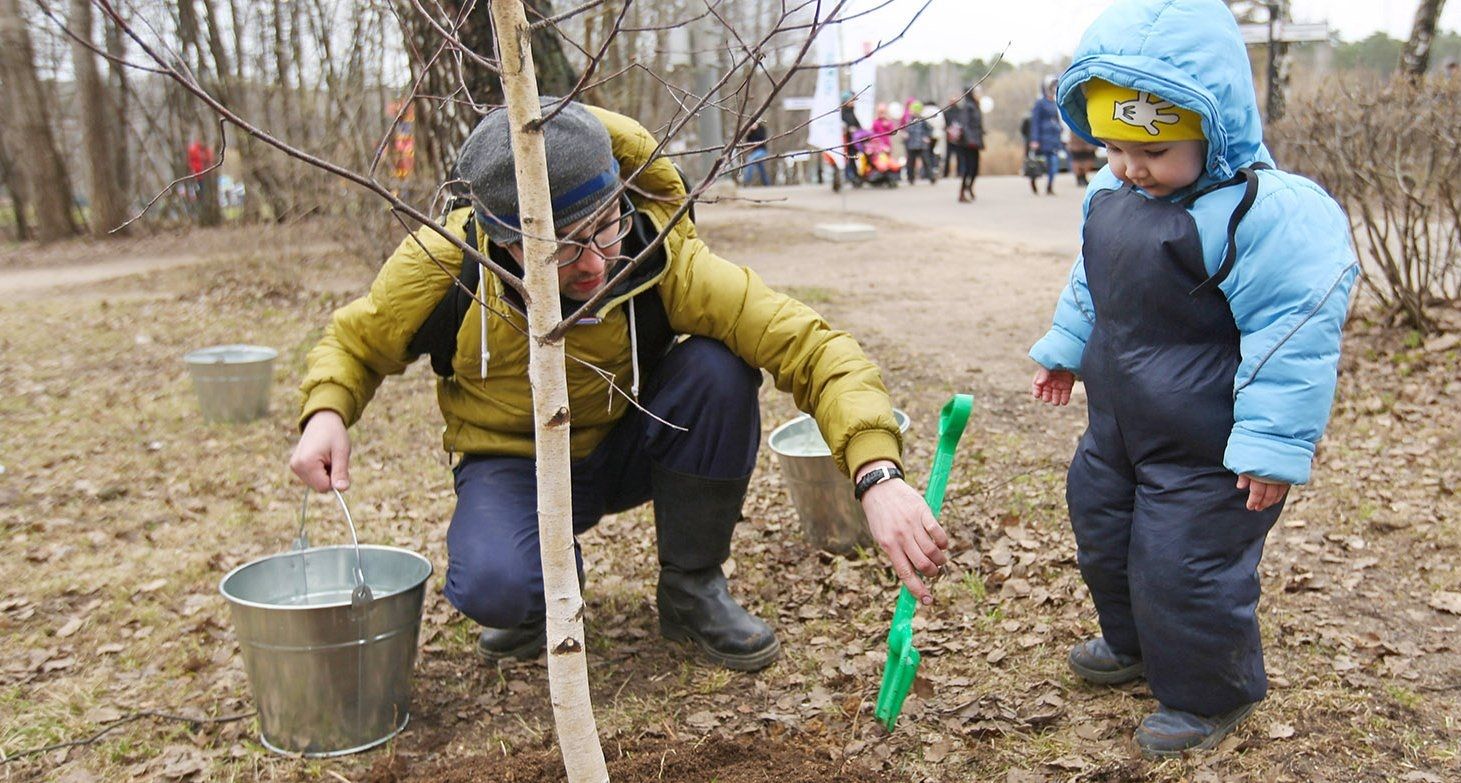 Жители смогут принять участие в высадке деревьев и оформлении клумб. Фото: сайт мэра Москвы