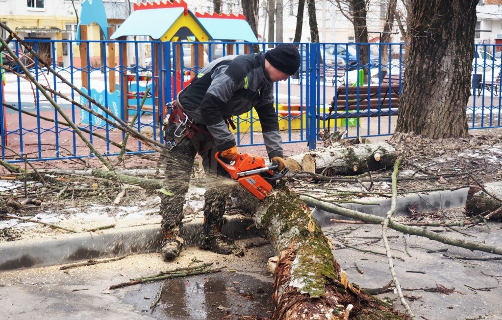 Дерево удалили в целях безопасности. Фото предоставили сотрудники администрации поселения Рязановское