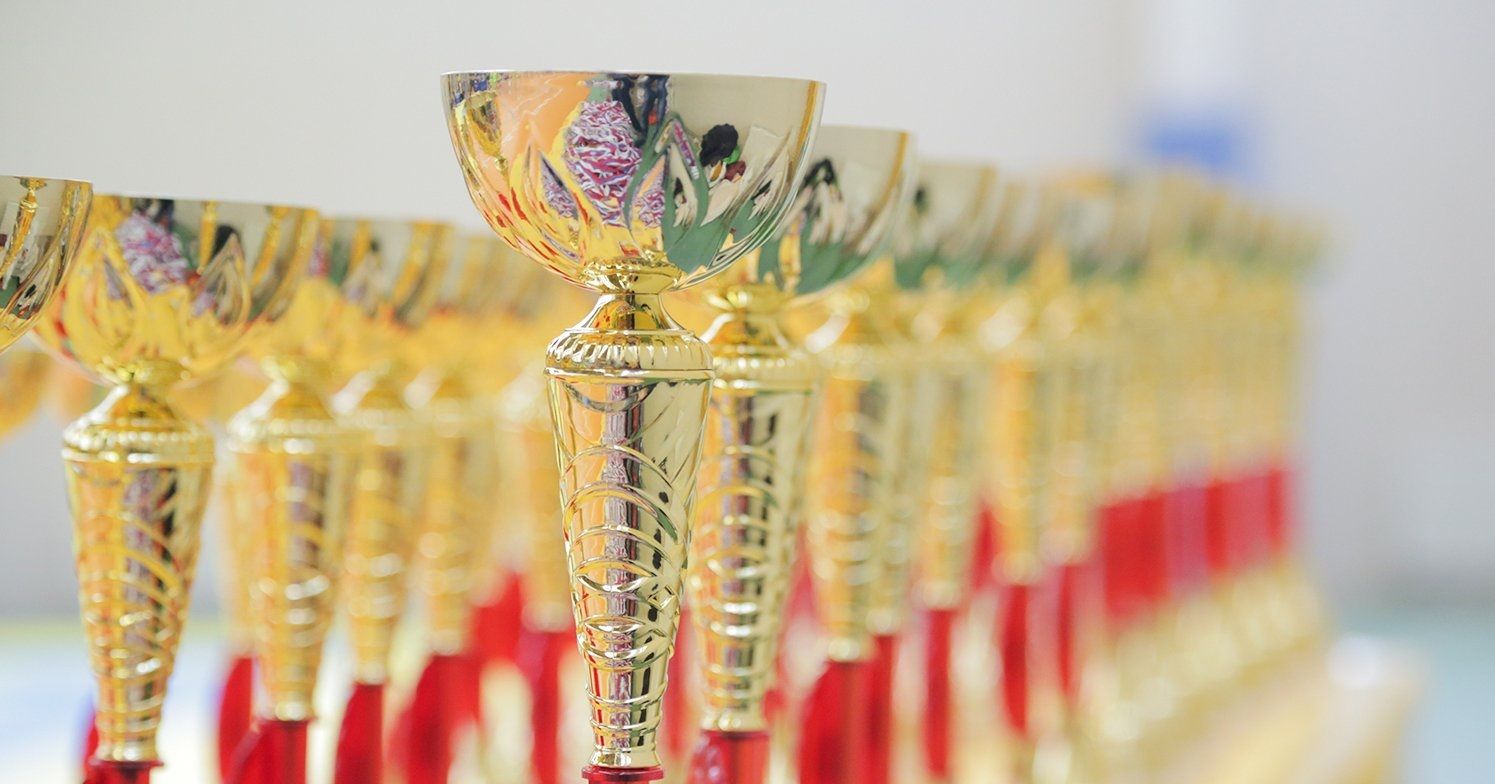 Победителей и призеров наградят кубками, медалями и именным грамотами. Фото: сайт мэра Москвы