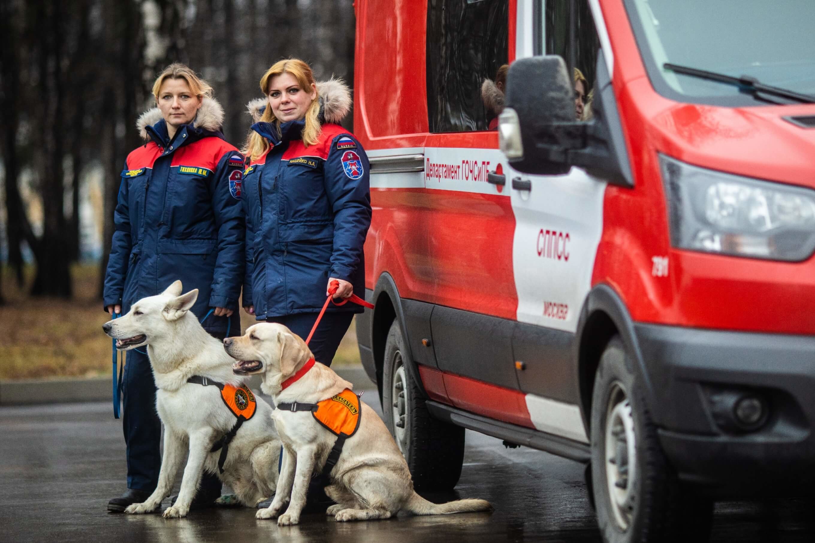 Два отряда спасателей сформируют в Щербинке и Московском