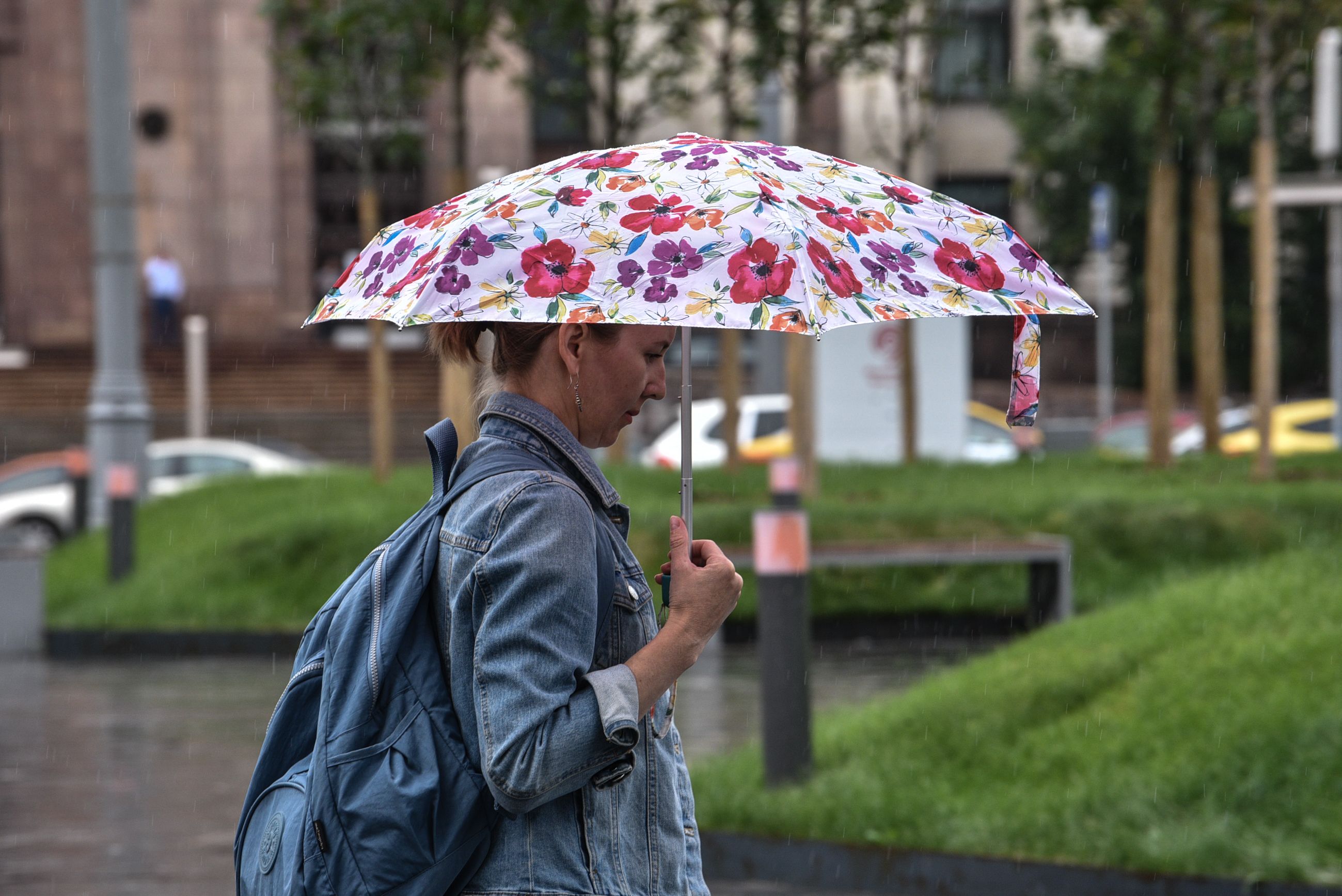 Дождливая погода ожидается в Москве и области