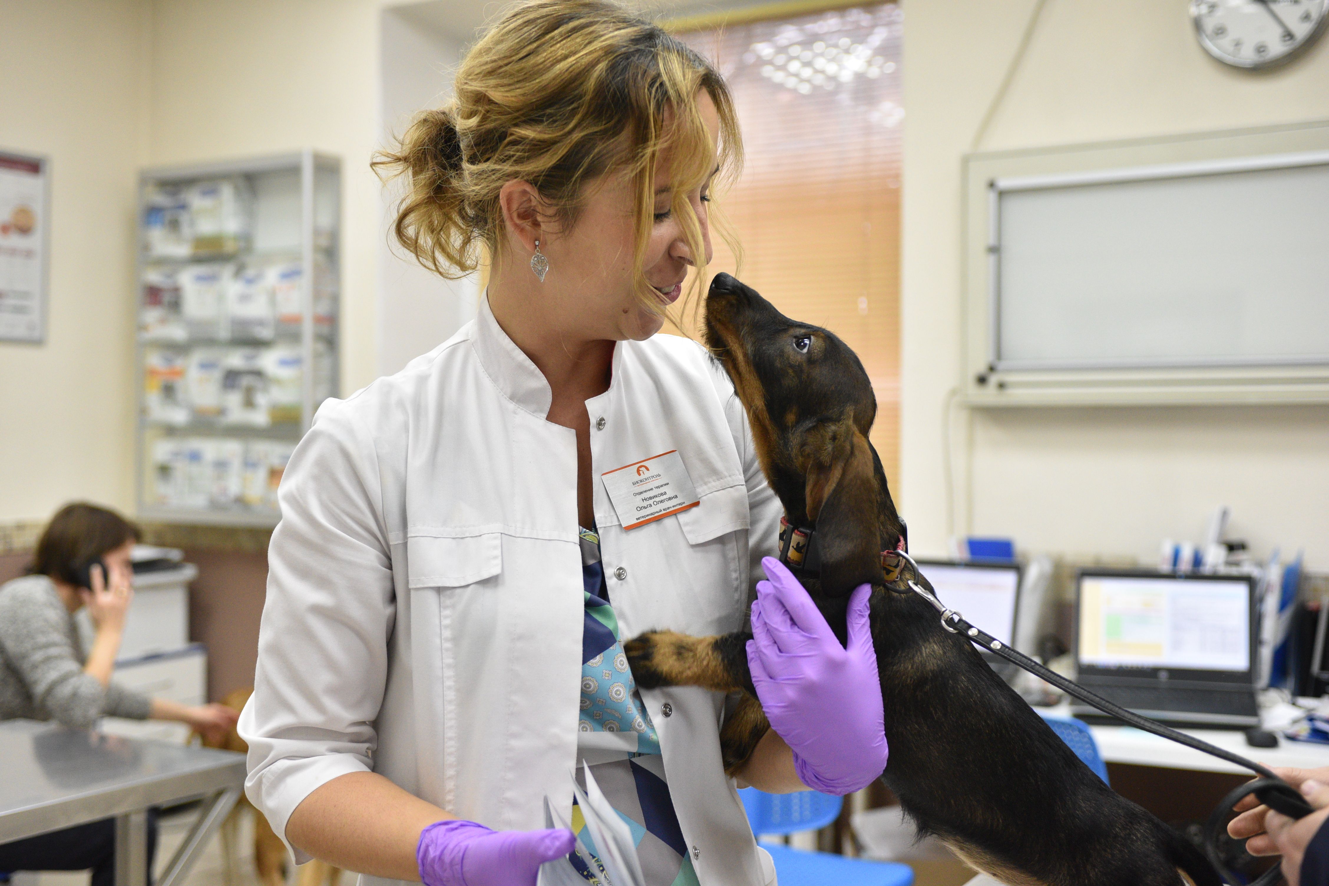 Более 130 ветеринаров ведут прием в московских клиниках