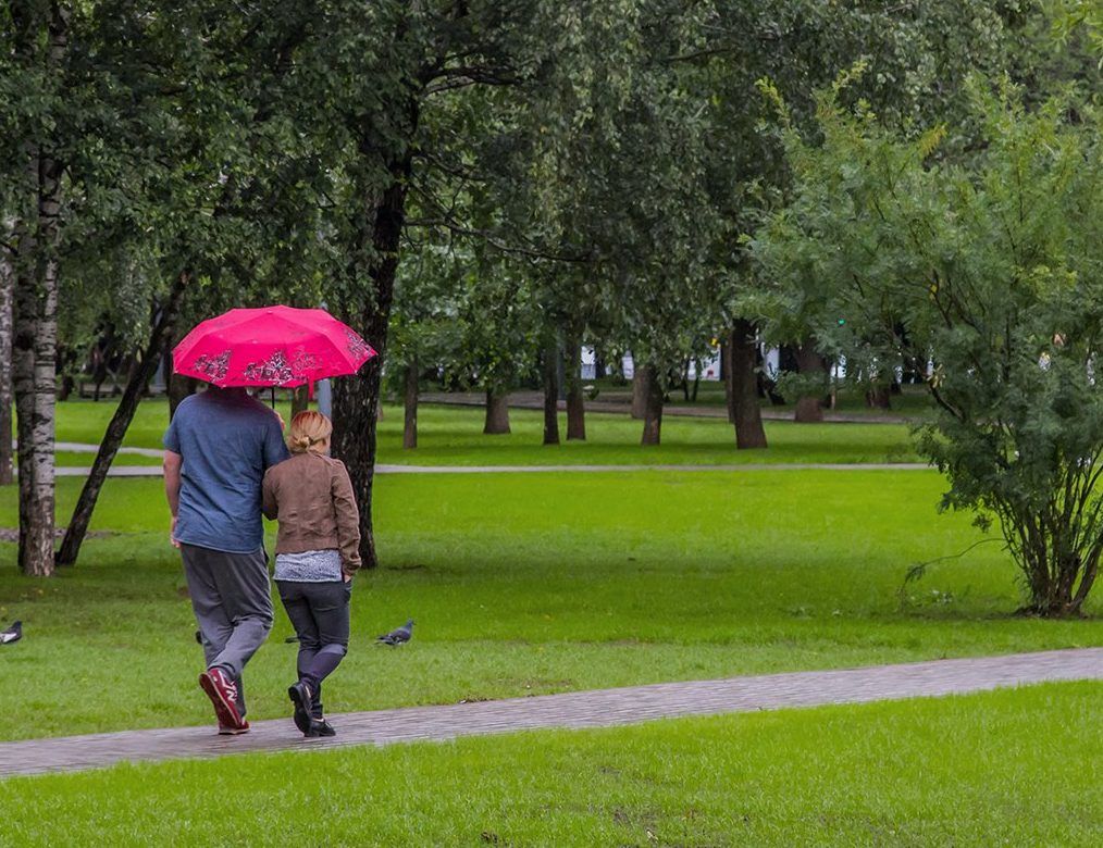 Пасмурная и дождливая погода ожидается в Москве 31 мая